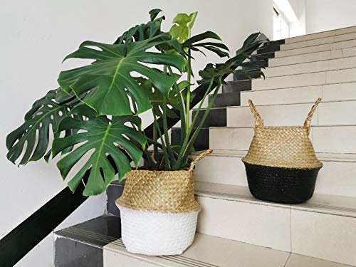 DOKOT Cesta Mimbre Decoracion Naturales Cesta para Plantas Almacenaje Macetas Seagrass (45 x 36 cm, Blanco)