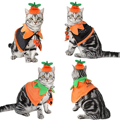 Dorakitten Disfraz para Gato, Disfraz Halloween Gato Disfraz de Calabaza para Gato Mantón para Mascotas con Sombrero de Calabaza para Gato y Perrito, Doble Cara