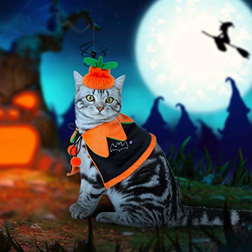 Dorakitten Disfraz para Gato, Disfraz Halloween Gato Disfraz de Calabaza para Gato Mantón para Mascotas con Sombrero de Calabaza para Gato y Perrito, Doble Cara