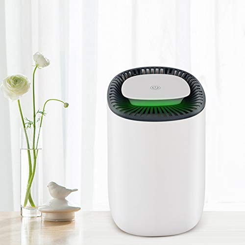 DW&HX Mini Compacto Deshumidificador, Portátil Seguro Ahorro de energía Deshumidificadors para Dormitorio Hogar Armario Oficina -Blanco