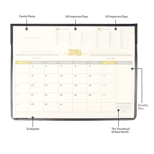 Easy Eagle Calendario Escritorio, Alfombra de Escritorio, Marzo 2020 a Mayo 2021, 22.5" x 17"