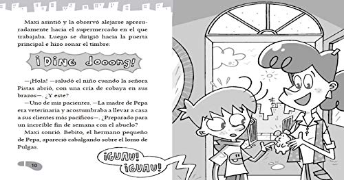 El caso del castillo encantado (Serie Los BuscaPistas 1)