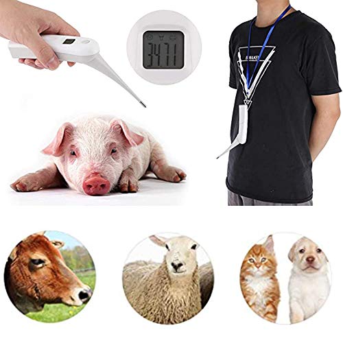 EMGOD Termómetro Digital Perro, Veterinario Profesión Termómetro, Sonda De Temperatura del Metal Veterinaria 6S Medición De Temperatura Precisa Y Rápida con Función De Memoria