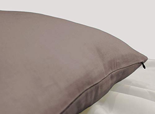Encasa Homes Fundas de Cojines 2 Piezas (60 x 60 cm) - Beige - Lona de algodón teñida Forma sólida, Decorativa, Grande y Colorida, Lavable Funda Almohada para Sala de Estar, Dormitorio