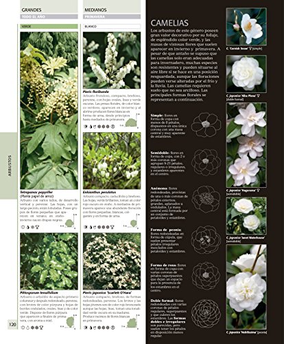 Enciclopedia de plantas y flores. The Royal Horticultural Society: Edici#n actualizada (Jardiner#a)
