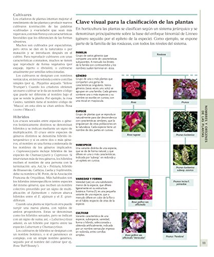Enciclopedia de plantas y flores. The Royal Horticultural Society: Edici#n actualizada (Jardiner#a)