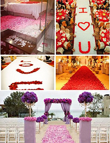eZAKKA Confeti de Pétalos de Rosas en Seda, Perfectos para Decorar tus Fiestas, Bodas, Celebraciones Tradicionales Y Mucho Más, Pack de 1000 pcs, Color Amarillo