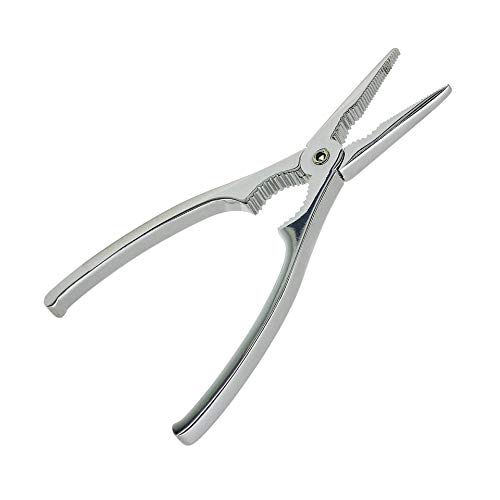 Fackelmann 43758 Tenacilla Marisco 17x4,5cm, Acero Inoxidable