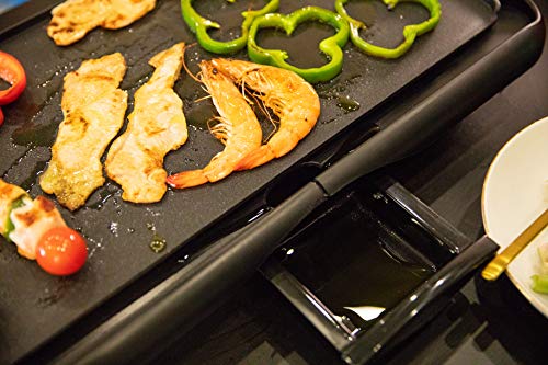 Family Care Plancha de Cocina Eléctrica para Asar todo Tipo de Alimentos de Manera Sana y Fácil. Potencia de 2000 W y Superficie de Cocción de 1250 cm2. Dimensiones: 48x26 cm