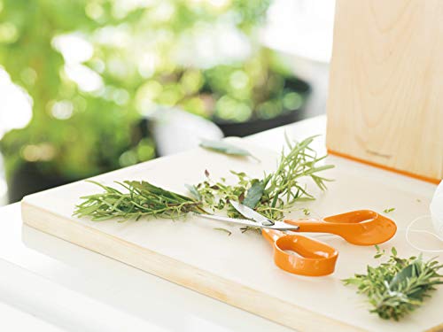 Fiskars Tijeras de cocina, Longitud total: 18 cm, Acero de calidad/Plástico, Classic, 1000819