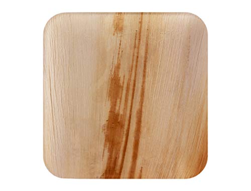 FOOGO Green 25 Platos de hoja de palma Desechable|25cm Grande Cuadrado Duro| Vajilla Ecológico Biodegradable|Como platos de bambu, Platos de plástico, Platos de papel|Para la Fiesta de Bodas,Camping