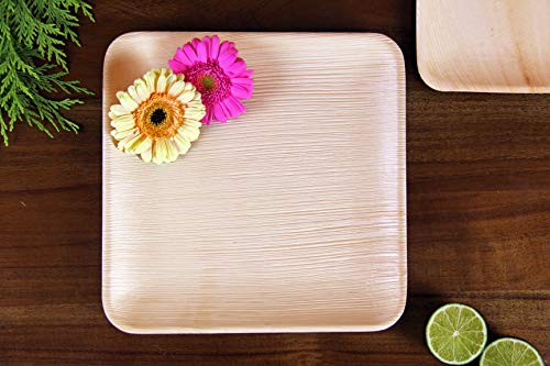 FOOGO Green 25 Platos de hoja de palma Desechable|25cm Grande Cuadrado Duro| Vajilla Ecológico Biodegradable|Como platos de bambu, Platos de plástico, Platos de papel|Para la Fiesta de Bodas,Camping