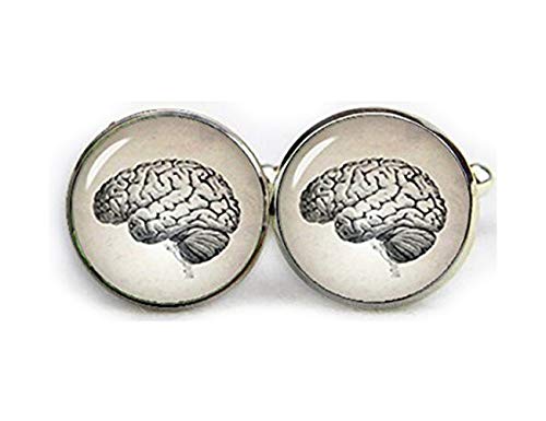 Gemelos de cerebro con diseño de espécimen y anatomistas, gemelos con anatomía cerebral