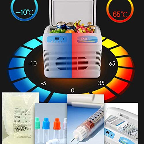 GG-home Refrigerador de medicamentos y refrigerador de insulina con Sistema avanzado de Control de Temperatura - Caja portátil para enfriadores de medicamentos para automóviles, Viajes, hogar