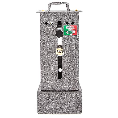 Giemme Spoleto Asador Giratorio Para Chimenea o Barbacoa C Regulable, Eléctrico, Capacidad 6 Kilogramos