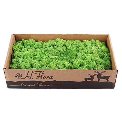 Global Brands Online 500g Natural Noruego Reno Musgo Preservado Artesanã­a Seca PreservaciÃ³n Flor Hadas Decoraciones DIY