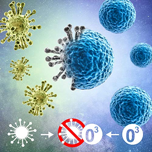 gridinlux. Generador de Ozono Multifuncional Compacto, Elimina Virus y Bacterias, Aire y Agua, Dispositivo Purificador, Iones Aniones, Esterilizador Purificador, Ozonizador doméstico, Portátil