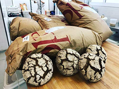 HARINA INTEGRAL DE CENTENO ECOLÓGICO 5KG