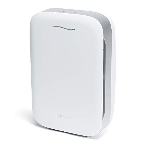 Haverland Airpure | Purificador de Aire IONIZADOR | Hasta 80m² | 1 Prefiltro + 2 Filtros. True HEPA, Desodorizante. Elimina Contaminantes y Alergenos | 5 Niveles