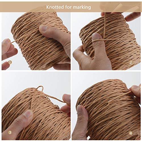 Herefun Alambre de Papel Natural, 200M Alambre de Papel, Alambre de Hierro de Papel Natural, Cordón de Papel de Alambre de Hierro Natural para Hacer Artesanías, Decoración de Flores