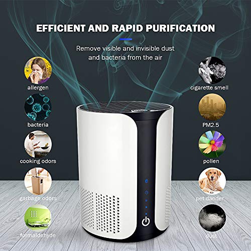 HIMOX Purificador Aire Hogar, Purificador de Aire para Mascotas Alergias con Iónes negativos, Aromaterapia, Ture Filtro HEPA y Filtro de Carbón Activo, Captura de Polen, Humo, Olores