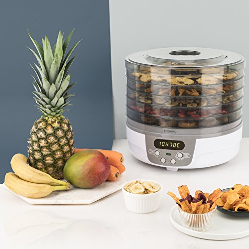 H.Koenig Deshidratador de Alimentos, 250 W, 5 Bandejas Extraíbles, Termostato Ajustable, Temporizador hasta 48 Horas, Blanco DSY700, Plástico