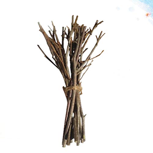 Holibanna ramas de abedul ramitas de abedul naturales centros de mesa artesanales decorativos palos de madera secos accesorios de fotos artísticas 15 cm