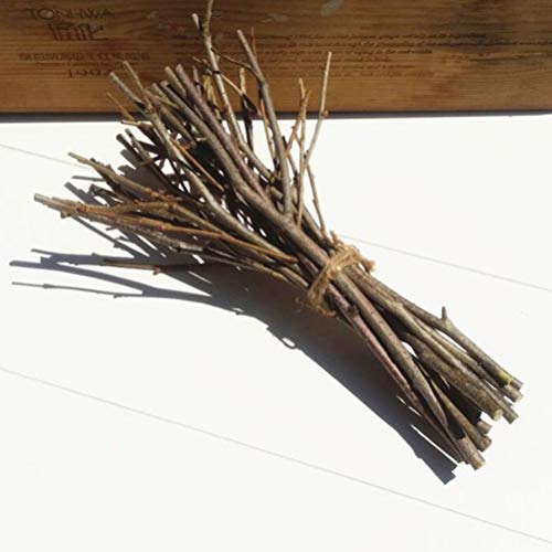 Holibanna ramas de abedul ramitas de abedul naturales centros de mesa artesanales decorativos palos de madera secos accesorios de fotos artísticas 15 cm