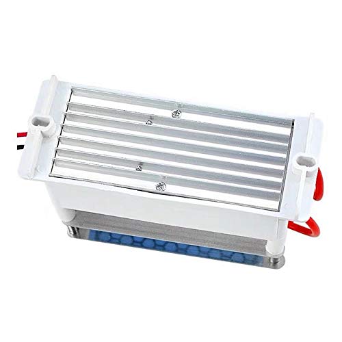 HUOPU Generador de ozono de cerámica 10 g/h Igual a 10000 MG/h Purificador de Aire para Coche Ozonizador DC12V