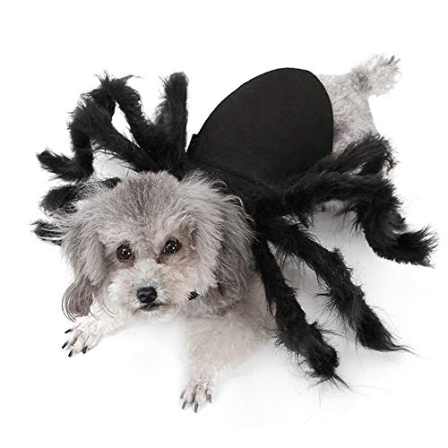 Idepet Pet Clothes Disfraz de calabaza de Halloween, chaqueta polar para perros, gatos, cachorros, disfraces de fiesta, Halloween, Navidad, festival de Pascua, actividades