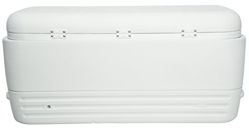 Igloo Polar 120 Nevera, 114 litros, Blanco