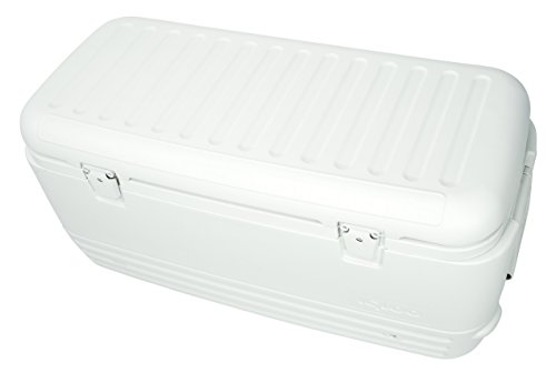 Igloo Polar 120 Nevera, 114 litros, Blanco