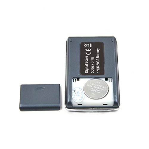 iitrust Báscula Electrónica (500g - 0.1g), Mini Balanza de Bolsillo, para Joyería, Medicina, Leche en Polvo, café, Alimentos para Mascotas y Otros, Acero Inoxidable + ABS