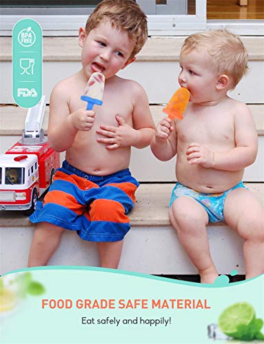 IKICH Moldes de Helado, sin BPA, 6PC Moldes para Paletas Fácil de Liberar,Adecuado para Niños, Adultos y Mascotas