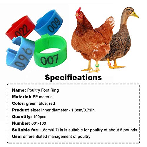 iPenty - Anillas para patas de pollo, anillo para pie de aves de corral y tobillo, marcadores de etiquetas para pájaros y pájaros