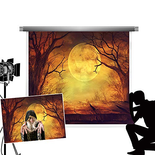 Kate Halloween Fondo Decoracion de Microfibra Suave del Cielo Nocturno de Moon Telón de Fondo del Piso de Madera del Bosque para del Estudio de Fotografía de Halloween 7x5ft/2.2x1.5m