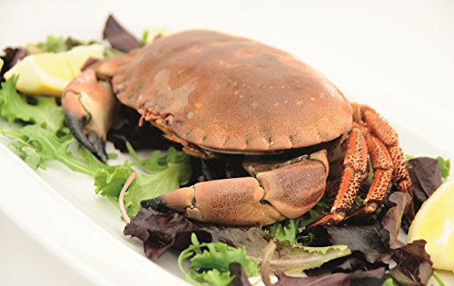 Kitchen Craft KCSEAFOOD - Tenacillas y garfios para marisco
