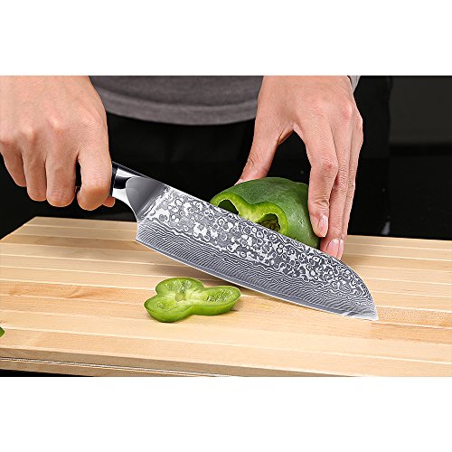 Kitchen Emperor Cuchillo Santoku Damasco, Cuchillo Acero Damasco, Cuchillos de Cocina Profesionales, Prima 67 Capas de Acero