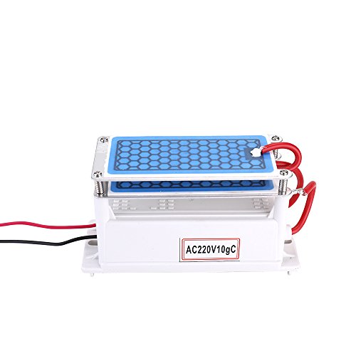 KKmoon Generador de Ozono 10g/h,Ozonizador,Publicador de Ozono,Publicador de Aire,Esterilizador