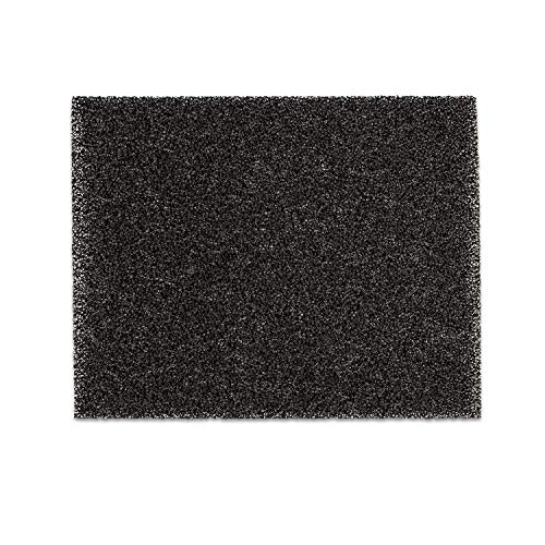 Klarstein Filtro de carbón activo para deshumidificador DryFy 16, 17 x 21,3 cm Filtro de repuesto