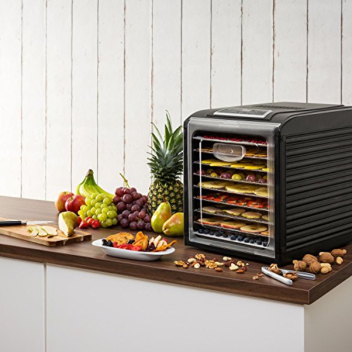 Klarstein Fruit Jerky 9 - Deshidratadora, Desecadora automática, Secadora de Fruta y Carne, 460-700 W, 9 Rejillas, Antiadherente,Regulable, Temporizador, Negro