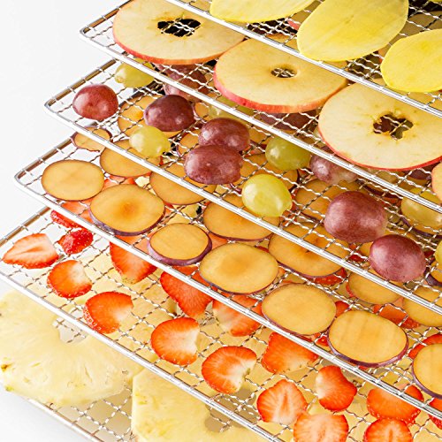 Klarstein Fruit Jerky 9 - Deshidratadora, Desecadora automática, Secadora de Fruta y Carne, 460-700 W, 9 Rejillas, Antiadherente,Regulable, Temporizador, Negro