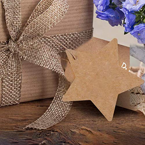 kuou 200 Etiquetas de Regalo con Agujero, Etiquetas Coloridas para Colgar en el Paquete, Etiquetas para árbol de Deseos con 3 Rollos de Cuerda y Cintas de Organza