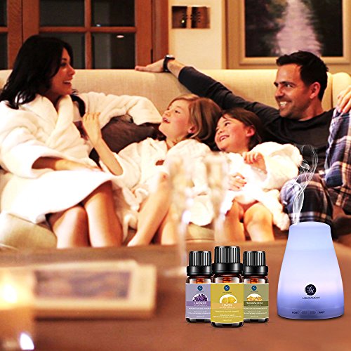 Lagunamoon 20 Aceites Esenciales, Set de Regalo de Aceites de Aromaterapia, Lavanda, Eucalipto, Limón, Romero, Menta, Arból de Té, Vainilla, Aceites Esenciales para Humidificador, 100% Puros