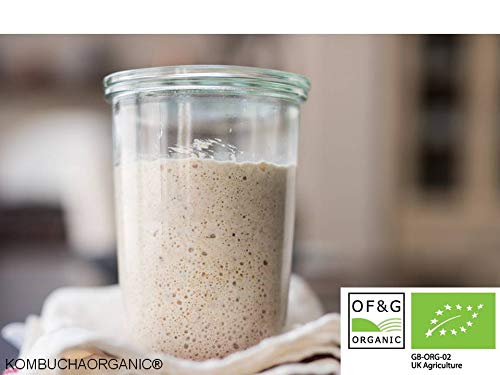 Lake Distrit-Kombuchaorganic® - Arranque de masa madre orgánica certificado San Francisco – UKAS Lab probado.