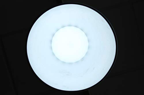 Lámpara Campana LED para Pescadería Marisquería 28W 220V-240V 50/60Hz Campana LED Seafood Shop 260HX240 mm