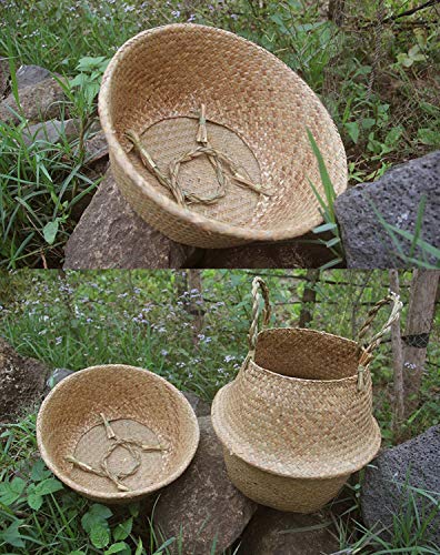 Lawei 2 Piezas Seagrass cesta de cesteria de mimbre plegable colgante maceta Cesta de Almacenamiento de Flor Cesta de Lavandería Plegable Trenzada Suciedad - M