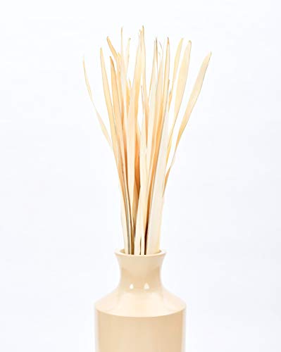 Leewadee Racimo de Hojas de Palma secas de Color para floreros de Suelo racimo Decorativo de ramitas de Hierba Ramo de Flores secas, 120 cm, Hoja de Palmera, Color Natural