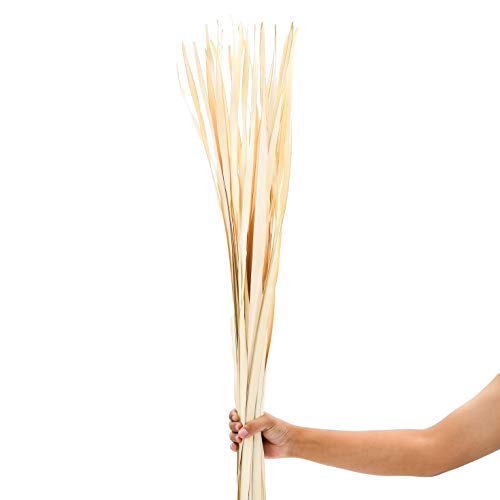 Leewadee Racimo de Hojas de Palma secas de Color para floreros de Suelo racimo Decorativo de ramitas de Hierba Ramo de Flores secas, 120 cm, Hoja de Palmera, Color Natural