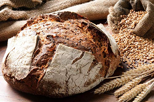 Levadura fresca biológica - Masa madre de harina de centeno Demeter - Levadura vegana - Contenido: 300 gramos